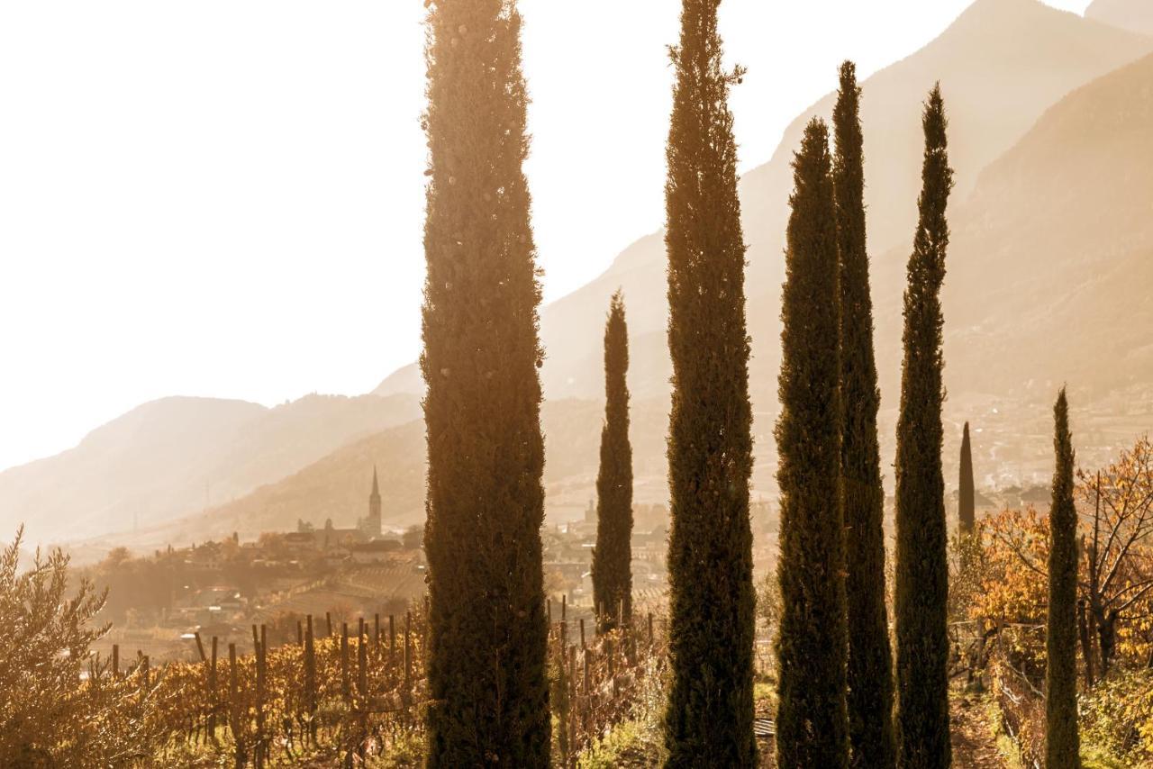 Apartamento Biobauernhof St. Quirinus Caldaro sulla Strada del Vino Exterior foto