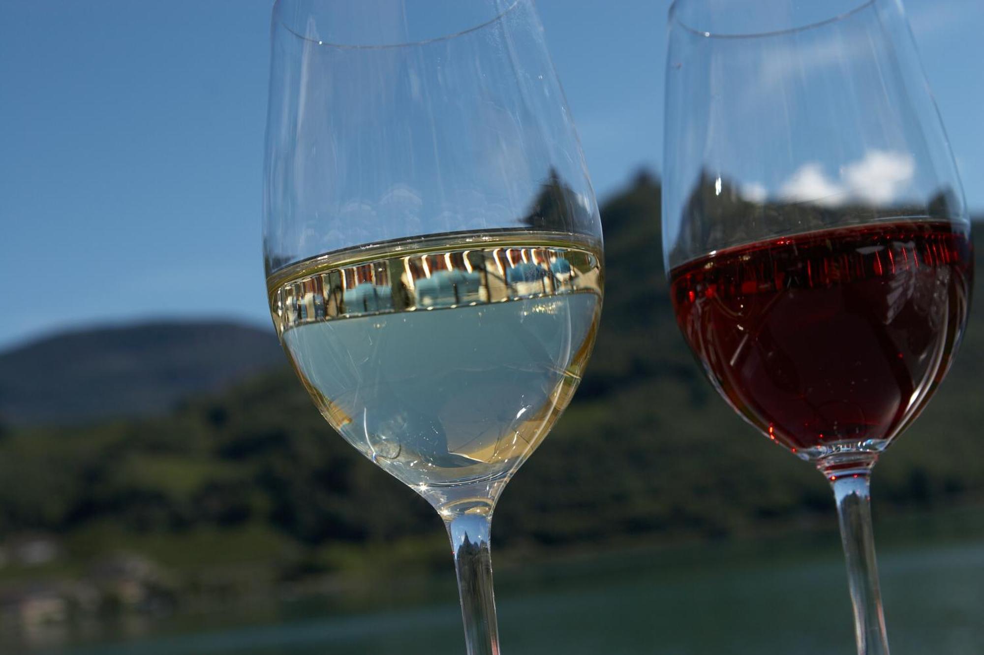 Apartamento Biobauernhof St. Quirinus Caldaro sulla Strada del Vino Exterior foto