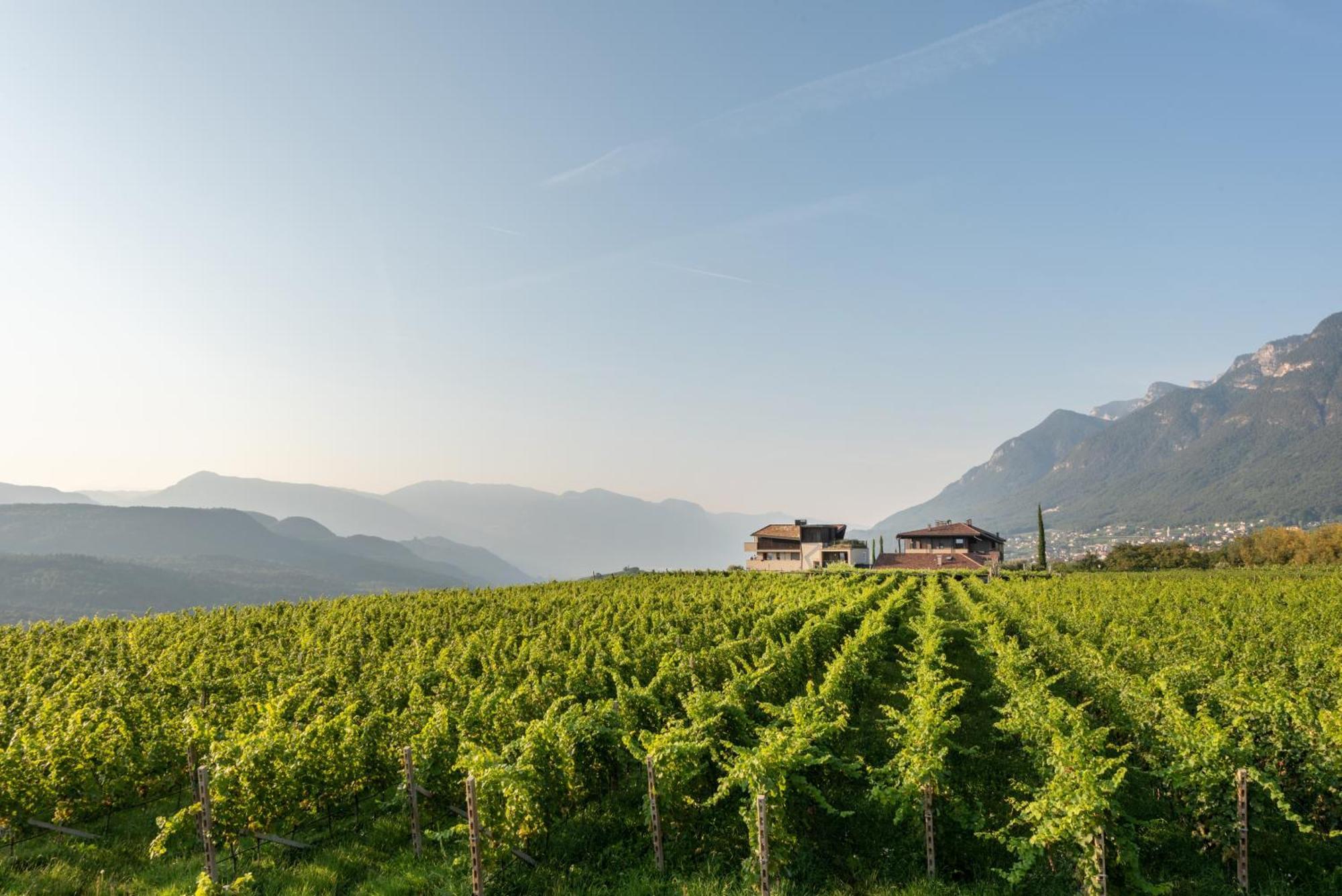 Apartamento Biobauernhof St. Quirinus Caldaro sulla Strada del Vino Exterior foto