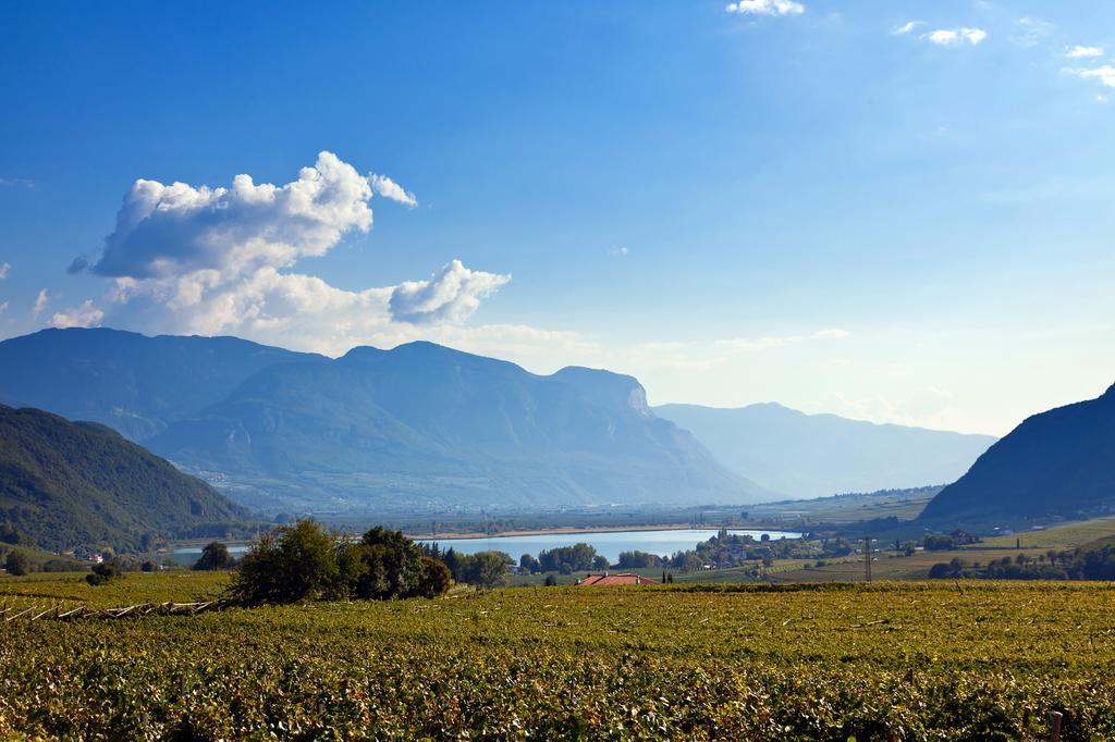 Apartamento Biobauernhof St. Quirinus Caldaro sulla Strada del Vino Exterior foto