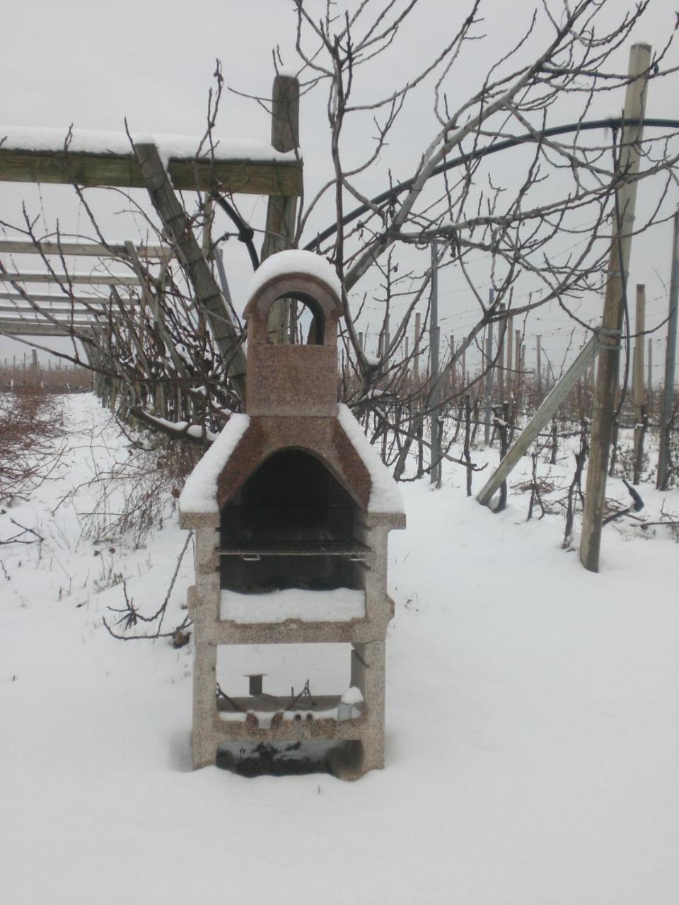 Apartamento Biobauernhof St. Quirinus Caldaro sulla Strada del Vino Exterior foto