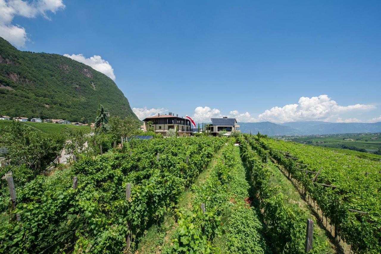 Apartamento Biobauernhof St. Quirinus Caldaro sulla Strada del Vino Exterior foto